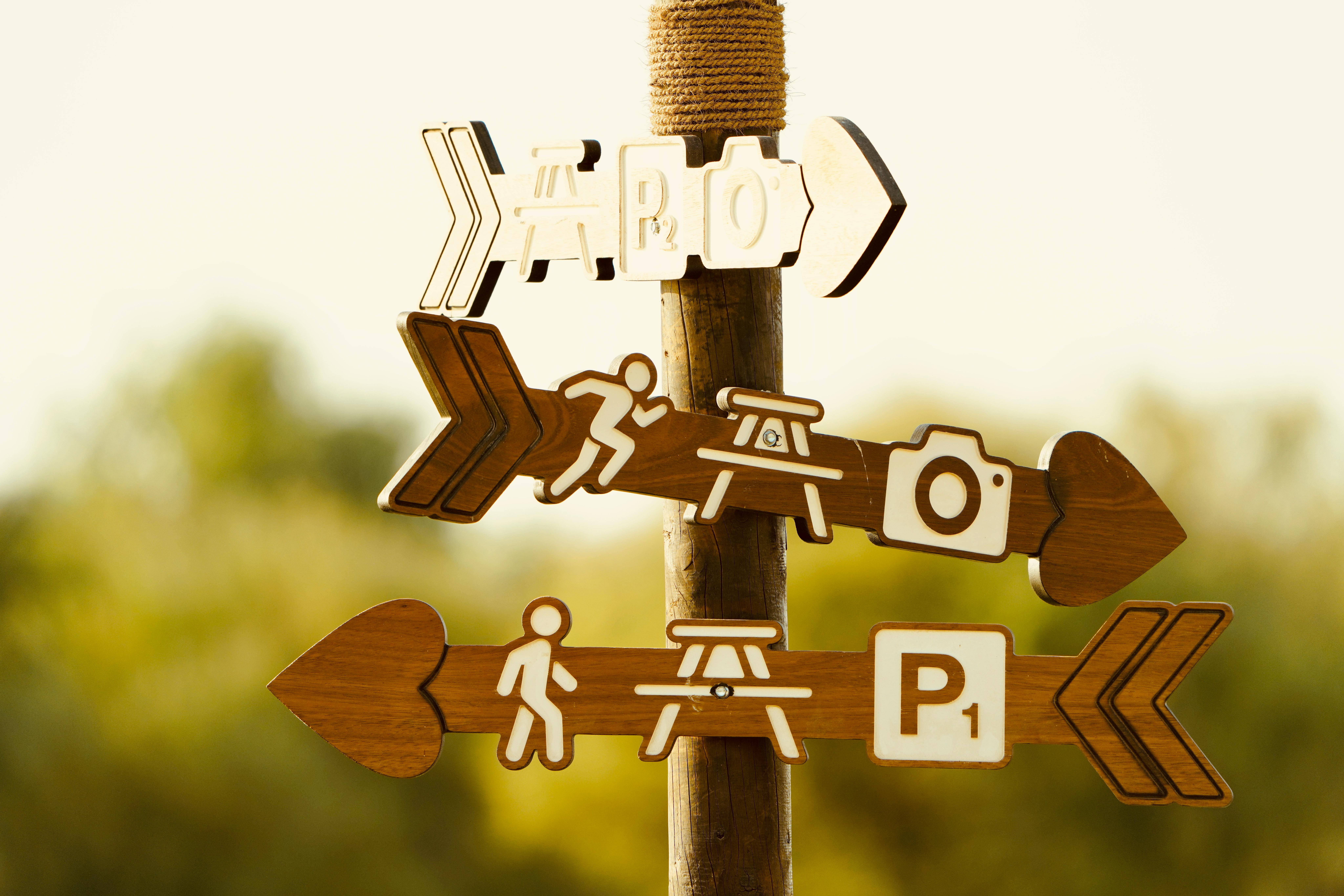 Wooden signpost in nature indicating directions with icons for picnic and photography.