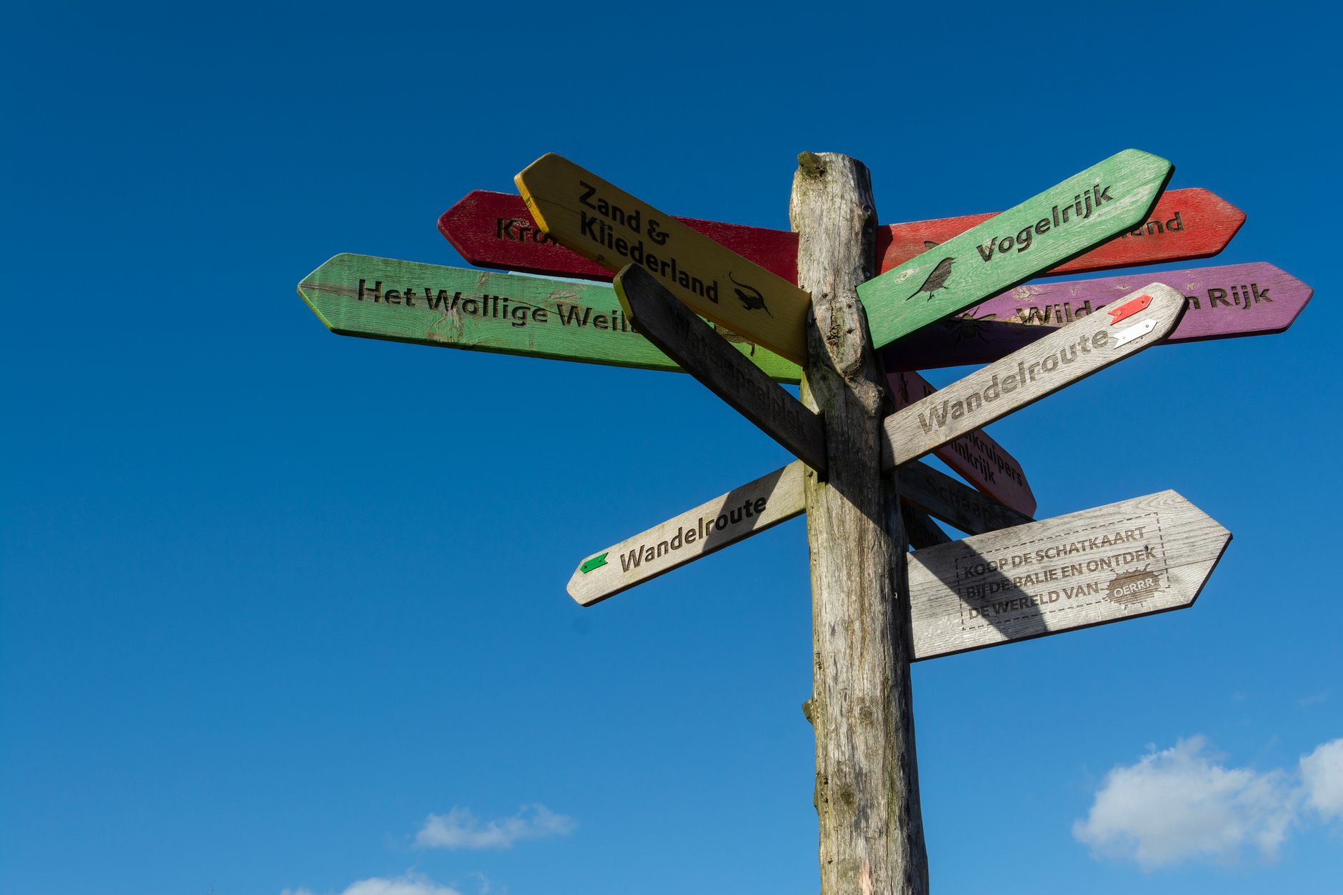 Wooden signpost with multiple directions against a clear sky
