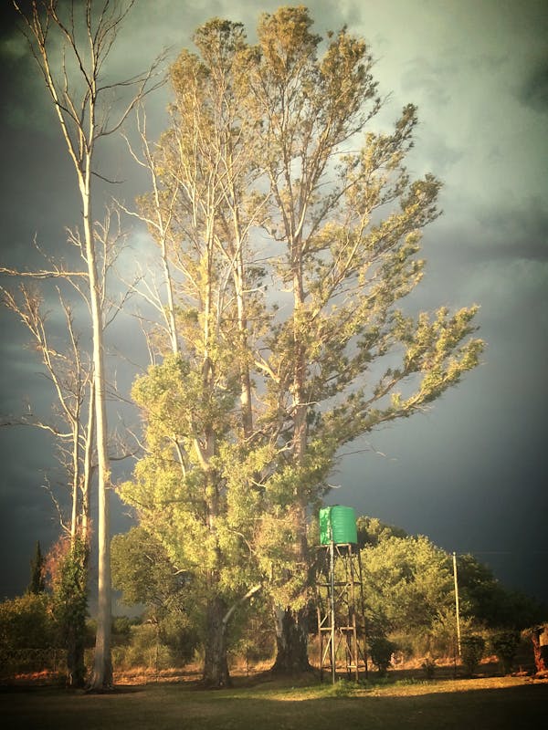 El Credo: Mucho Más que Palabras, la Firma de Nuestra Fe