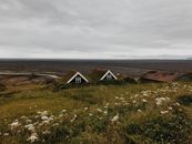 Wooden Houses in Green Field Under White Skies