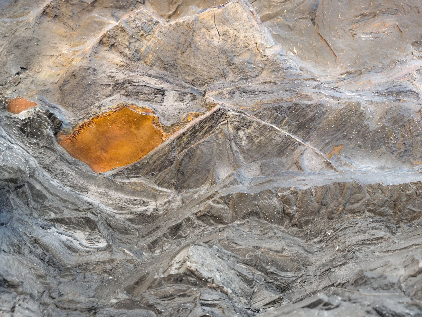 Detailed texture of a rugged rock surface with unique patterns and colors.