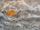 mineral