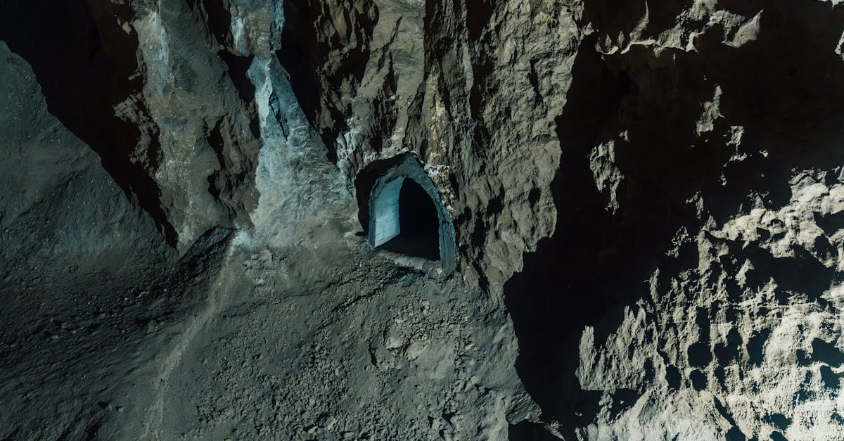 The Obsidian Bloom 1 image text