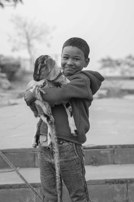 A smiling child holds a baby goat, capturing a moment of pure joy and innocence outdoors.