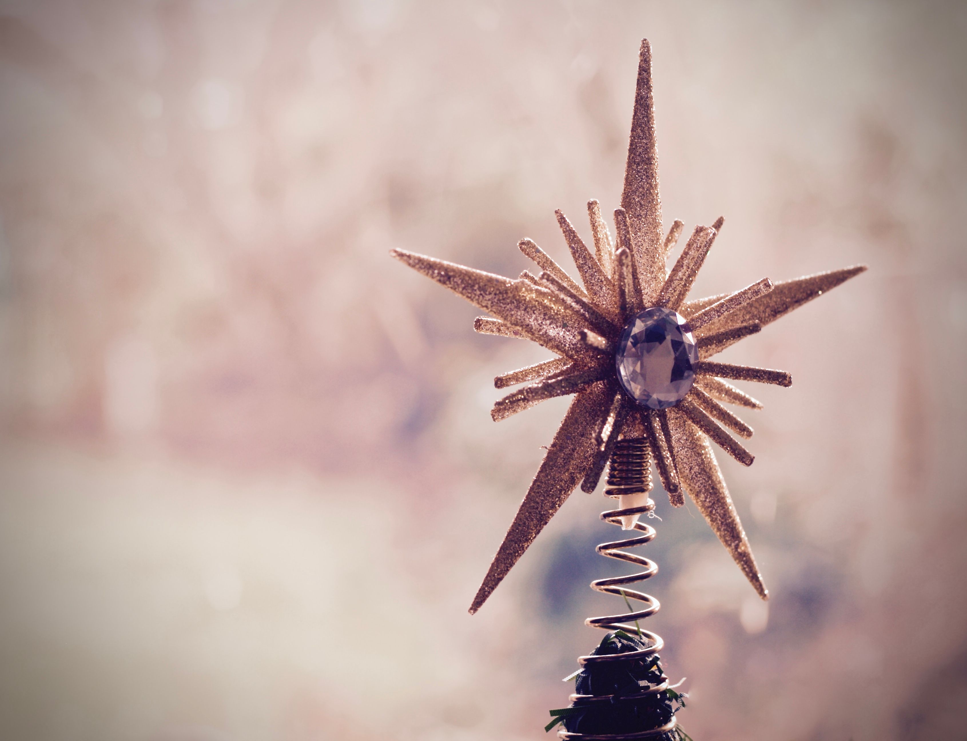 Free stock photo of christmas, christmas decoration, christmas star