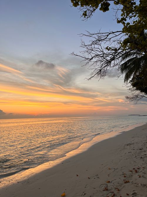 Free Serene sunset at the beach with gentle waves and palm trees, perfect for relaxation. Stock Photo
