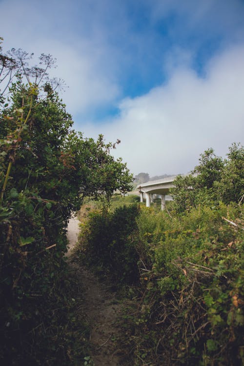 Free stock photo of 10 mile beach, beach, bridge