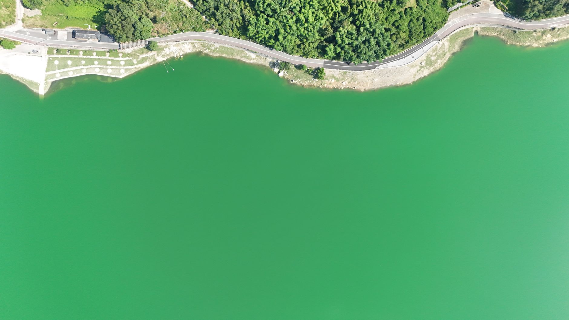 Aerial view depicting a vibrant green lake bordered by a winding road and lush greenery.