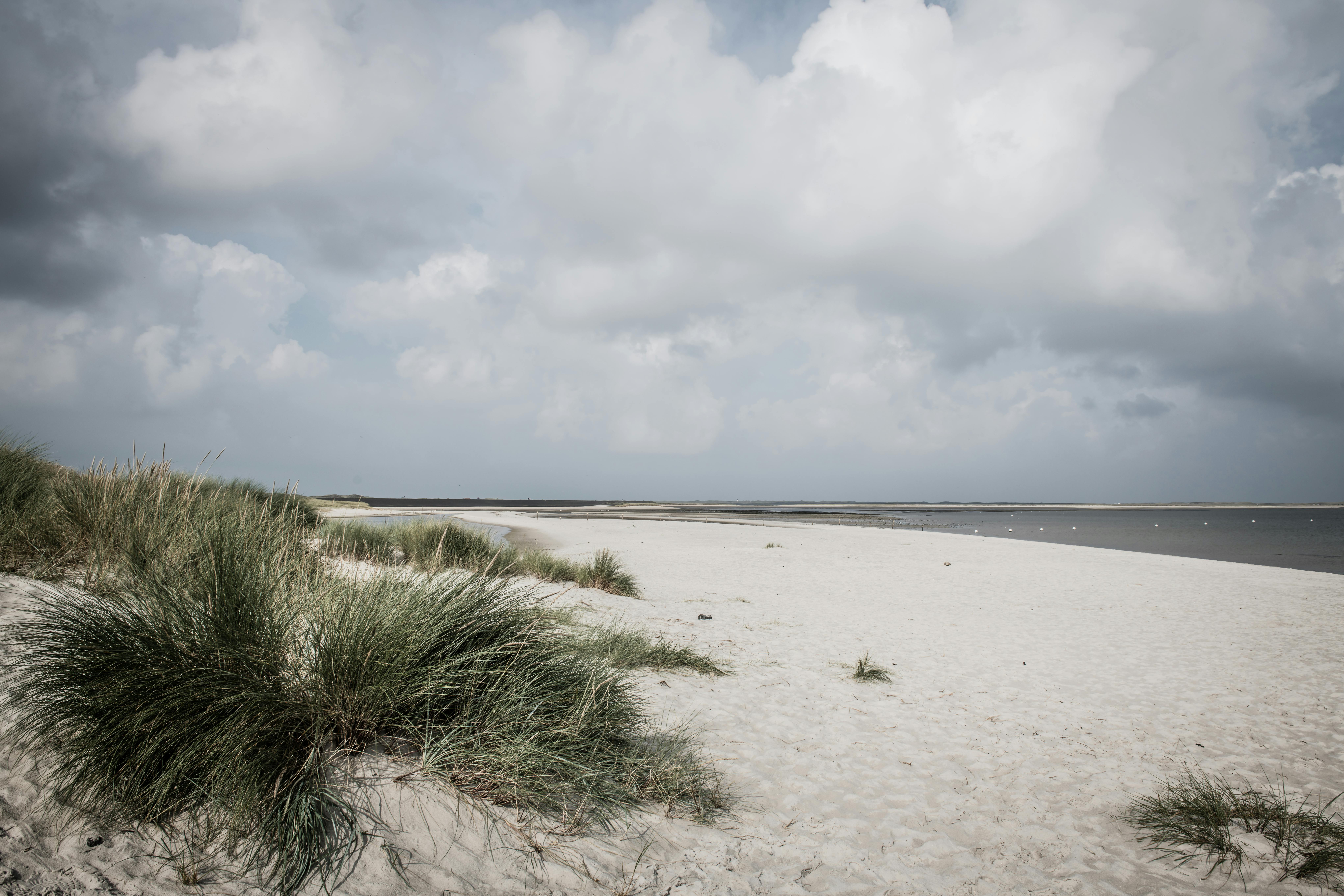 Peaceful sandy beach with dune grass on Sylt Island, Germany under a cloudy sky.