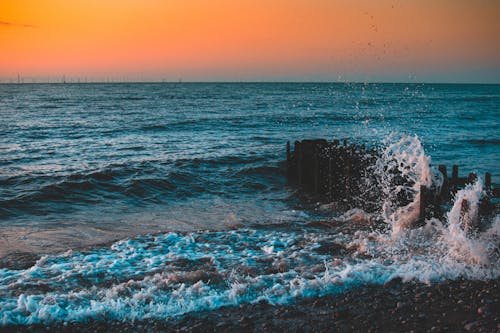 Безкоштовне стокове фото на тему «берег, берег моря, Захід сонця»