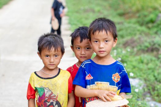 Three young boys stand outdoors on a lush pathway, looking directly at the camera.