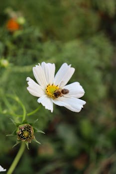 Image by İremnur ÖZTÜRK