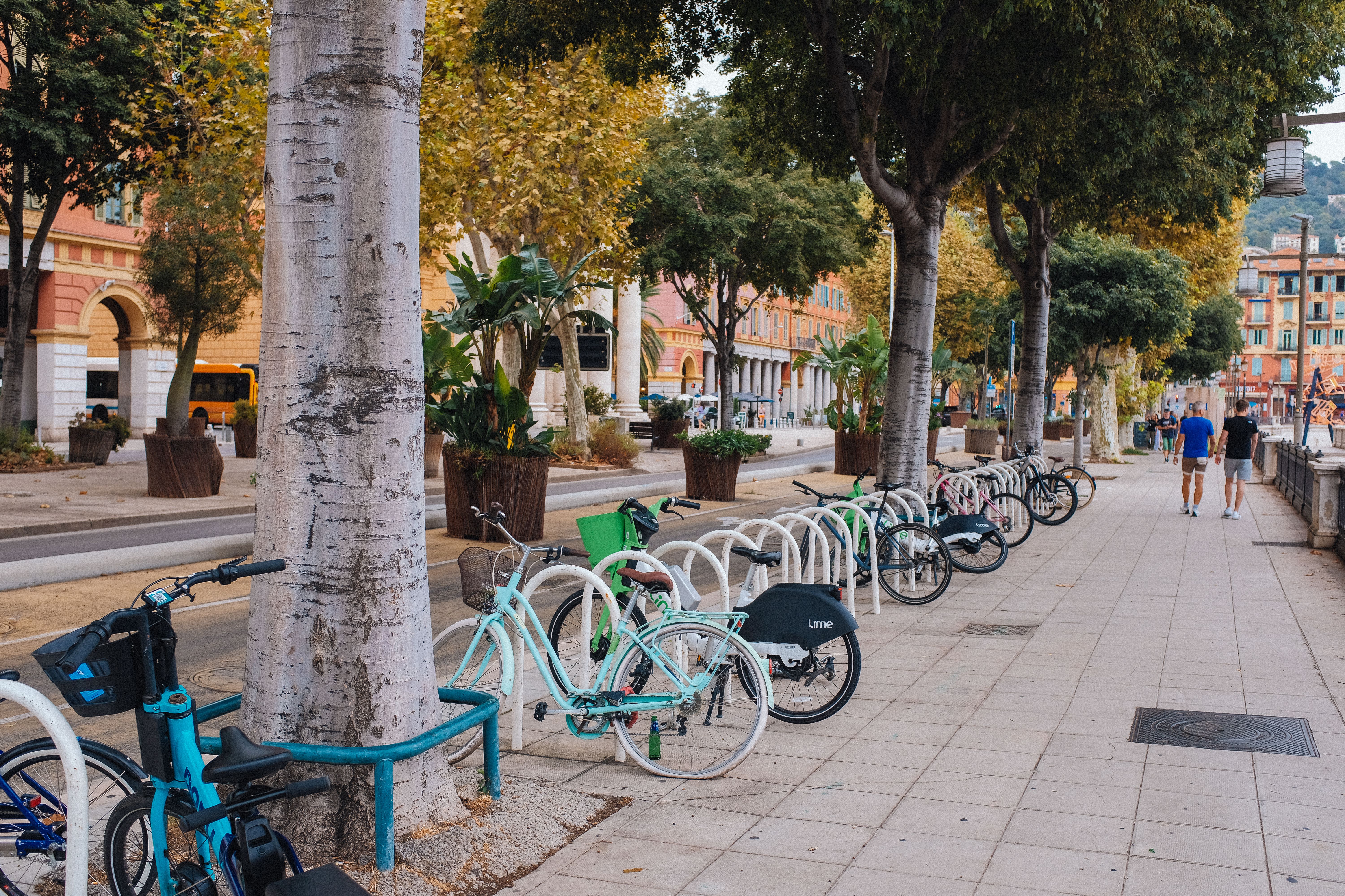 A tree-lined boulevard with a bike lane and free parking outside a shopping center