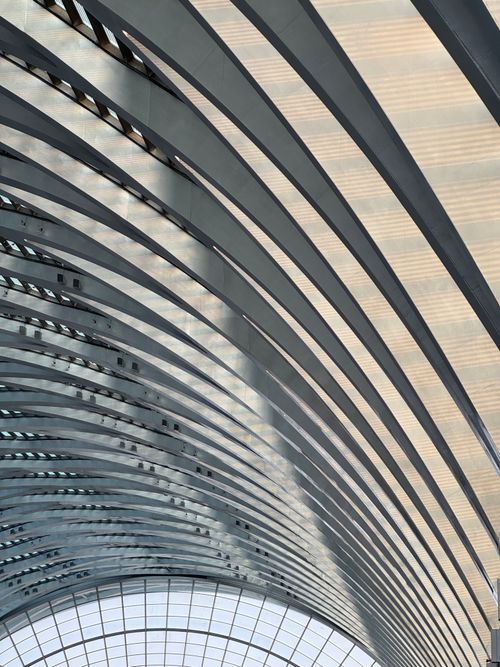 Free A modern architectural ceiling featuring elegant arched patterns in a spacious indoor setting. Stock Photo