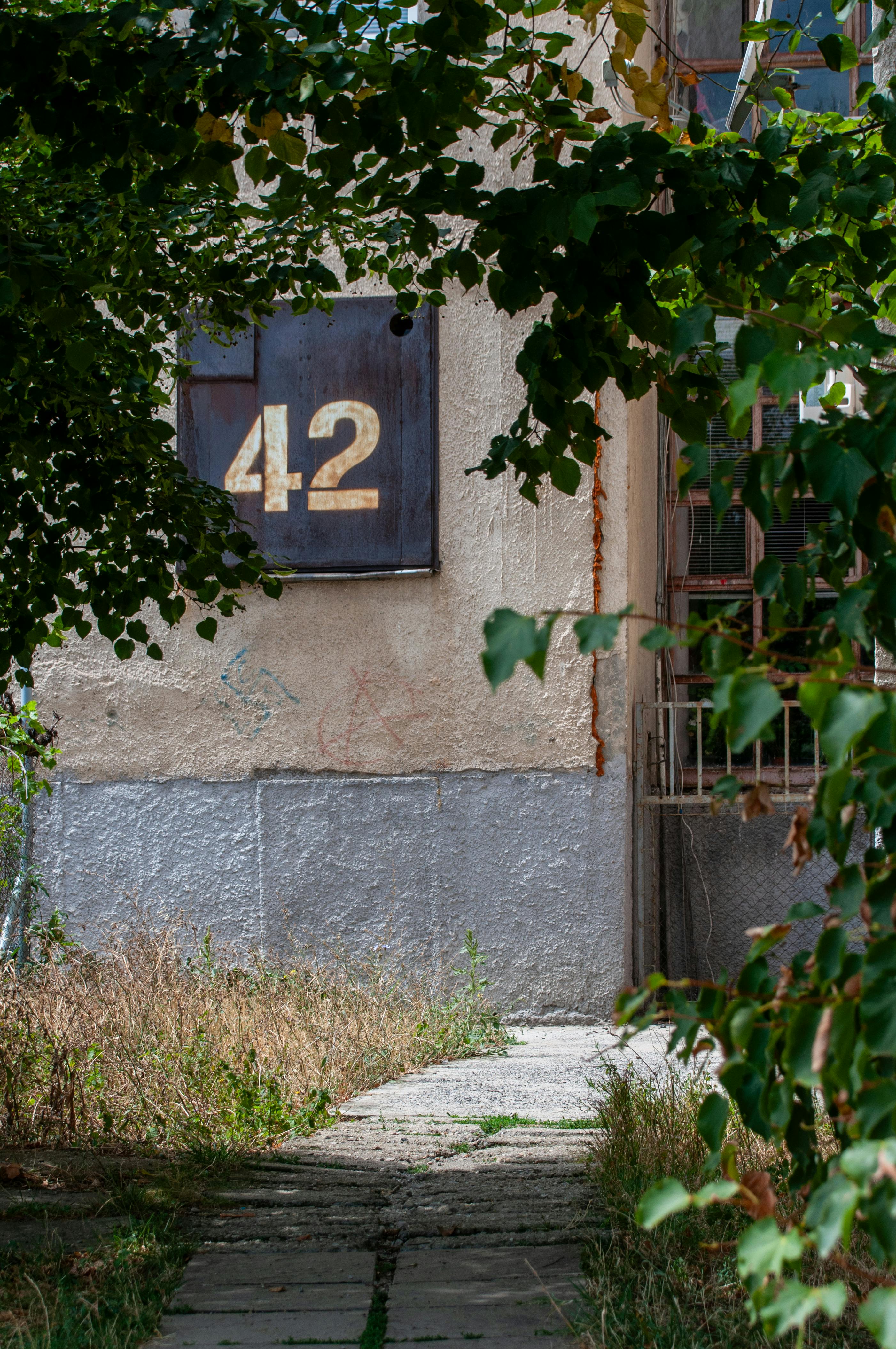 Exploring the Allure of Vintage Rolex Watches for Men