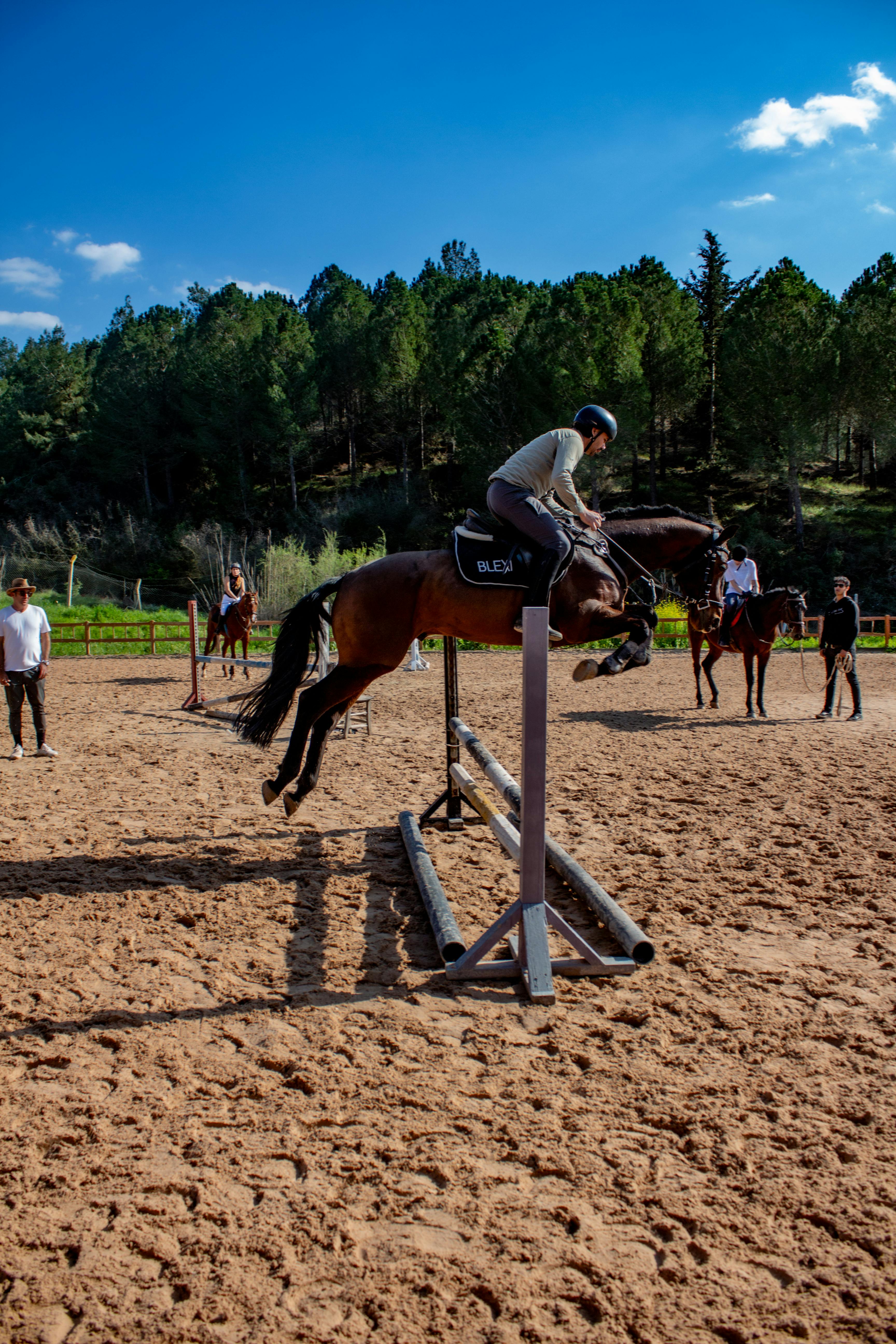 Horse jumping training at Squirrells Riding School