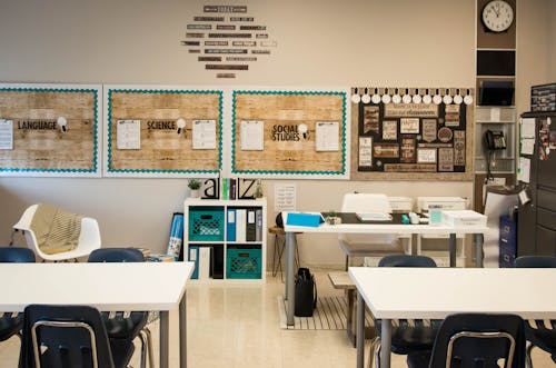 Free stock photo of classroom, education, groups