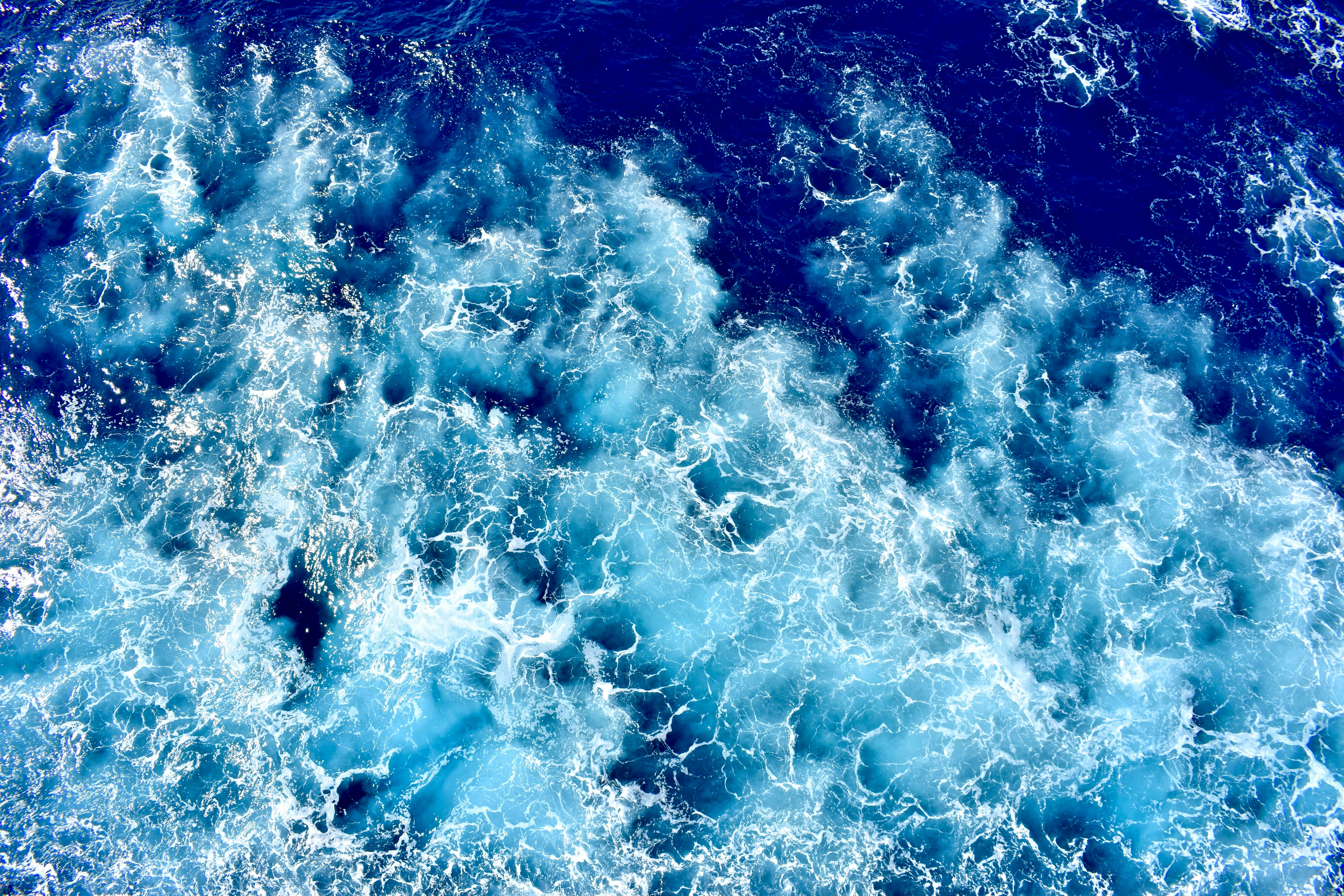 Tổng hợp 110 hình nền dưới đáy đại dương siêu đỉnh  POPPY