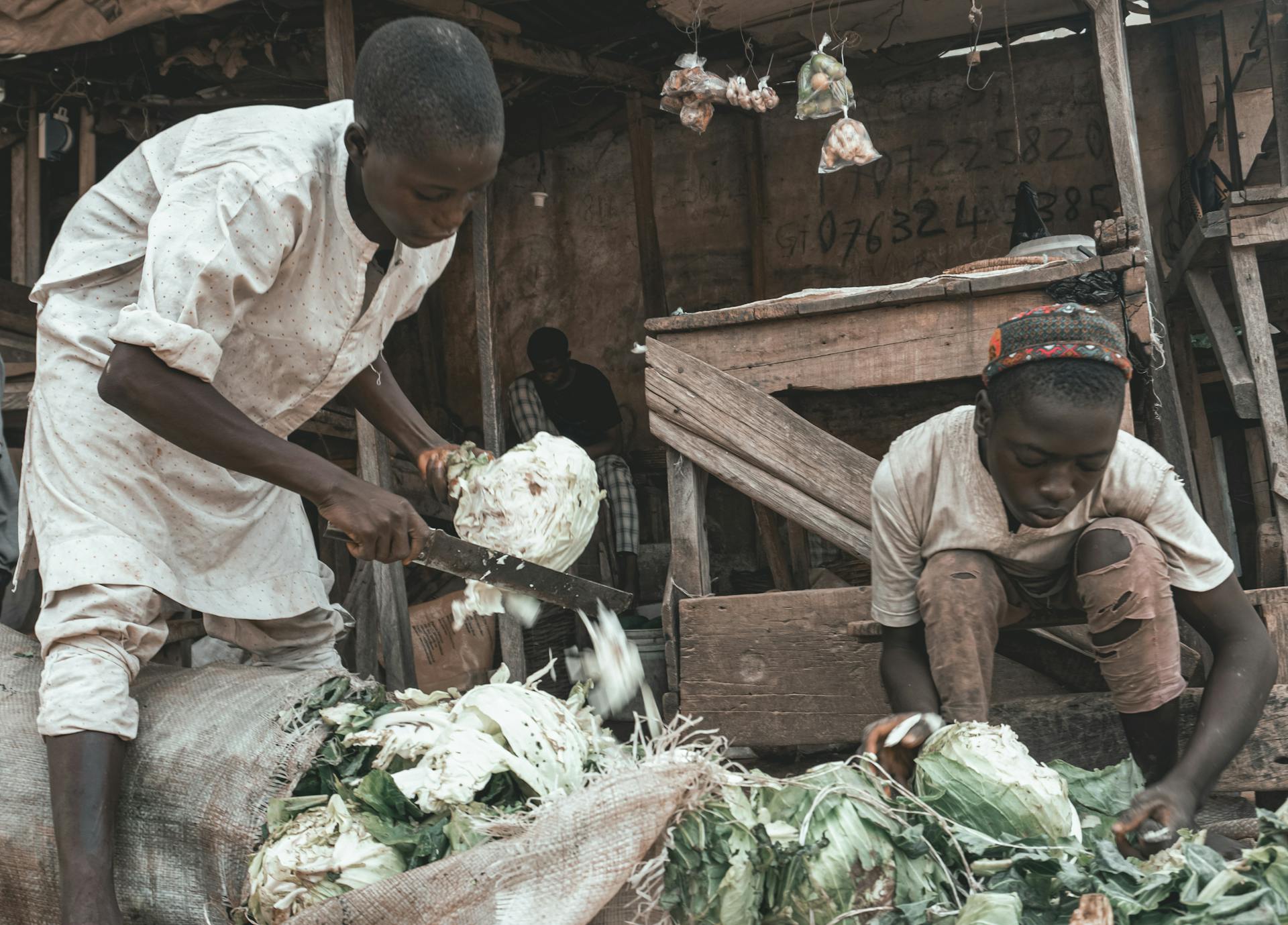 Local Market Activity in Kano, Nigeria