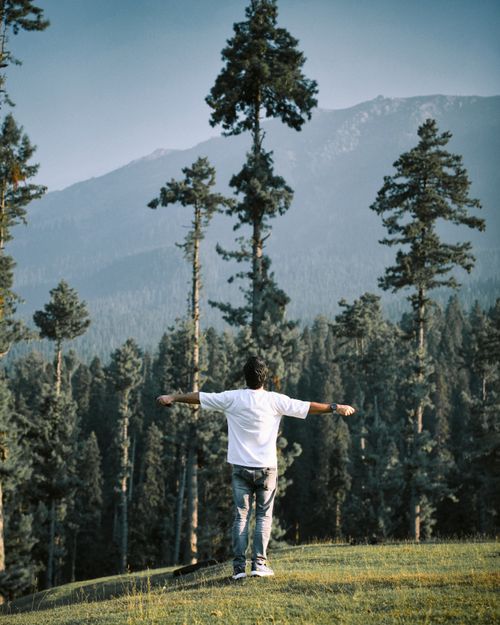 Free Man standing with arms outstretched in a serene forest landscape during the day. Stock Photo