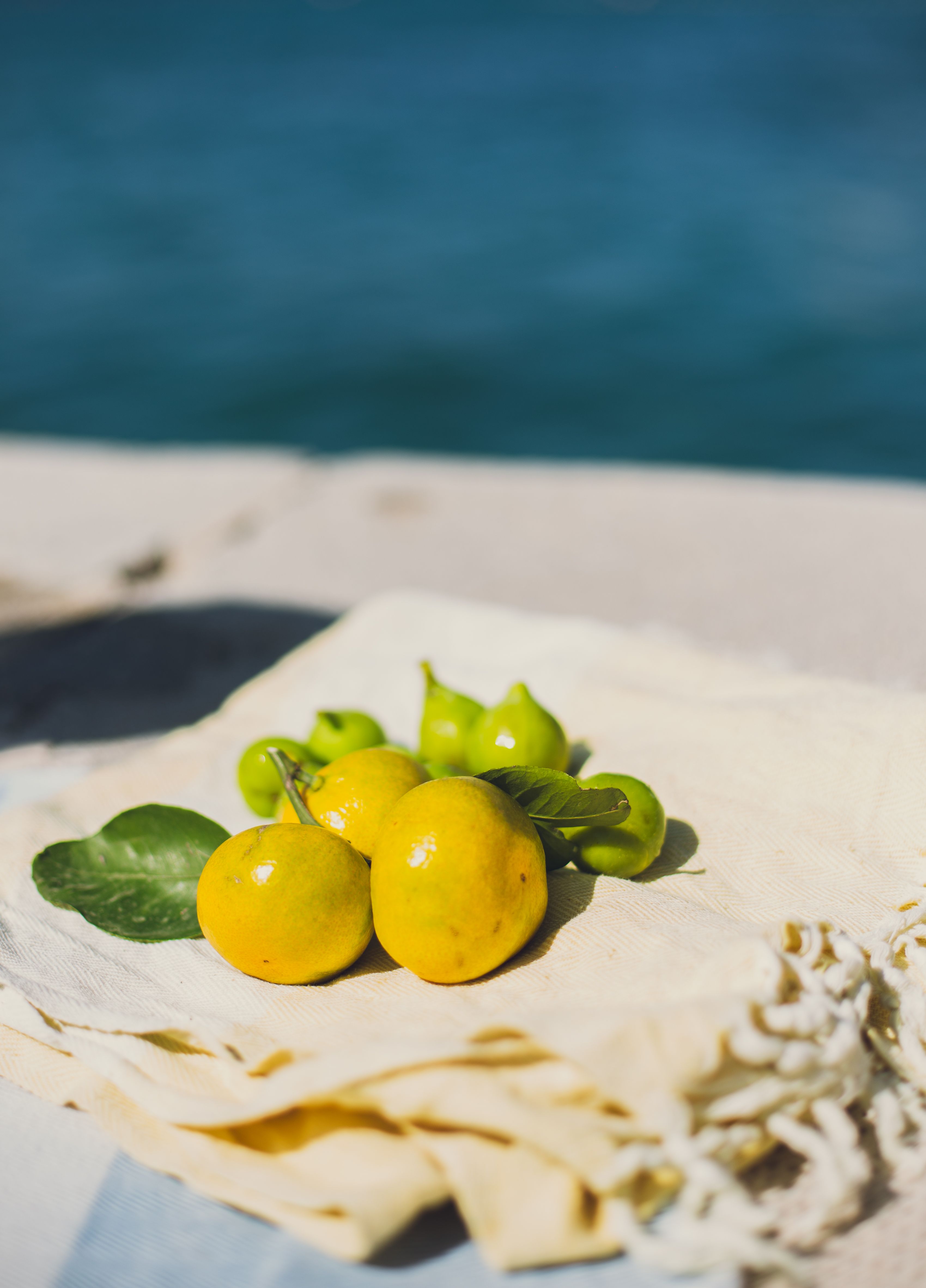 Fresh lemons and limes on a towel by the Adriatic Sea in sunny Zadar, Croatia