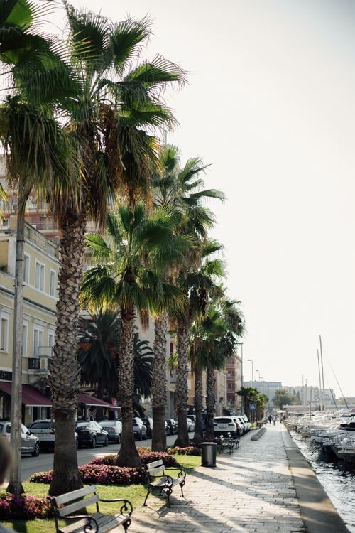 Free Discover the sunlit promenade in Zadar, Croatia, lined with lush palm trees and waterfront views. Stock Photo