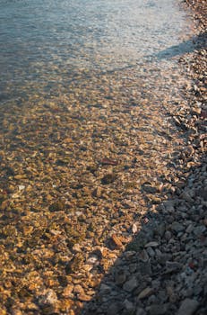 Serene view of a rocky shoreline with clear water in Zadar, Croatia. Perfect for nature and travel themes.