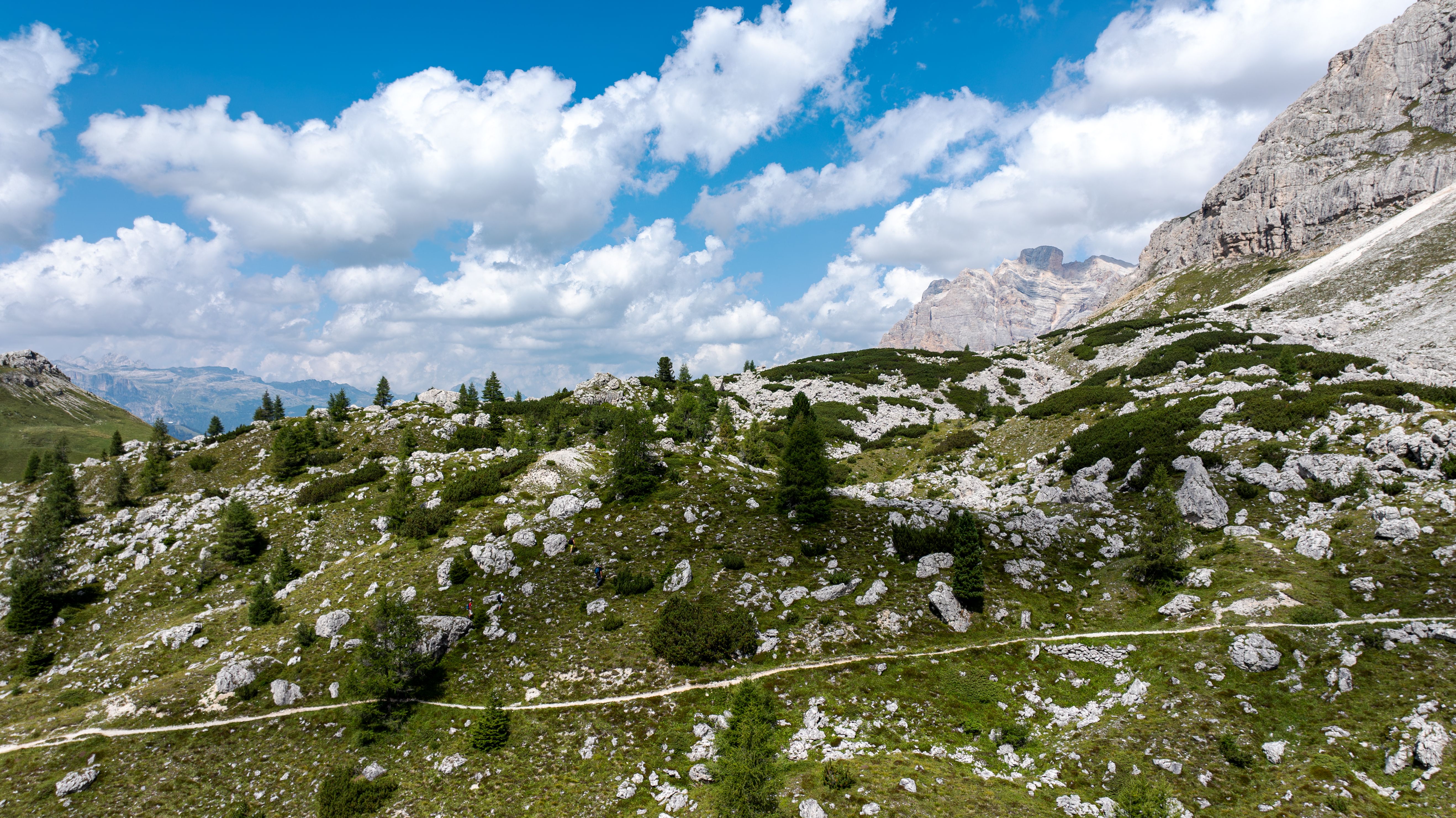 Naturlandschaft mit Wanderweg