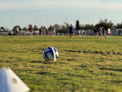 A soccer ball on grass with players practicing in a sunny outdoor field.