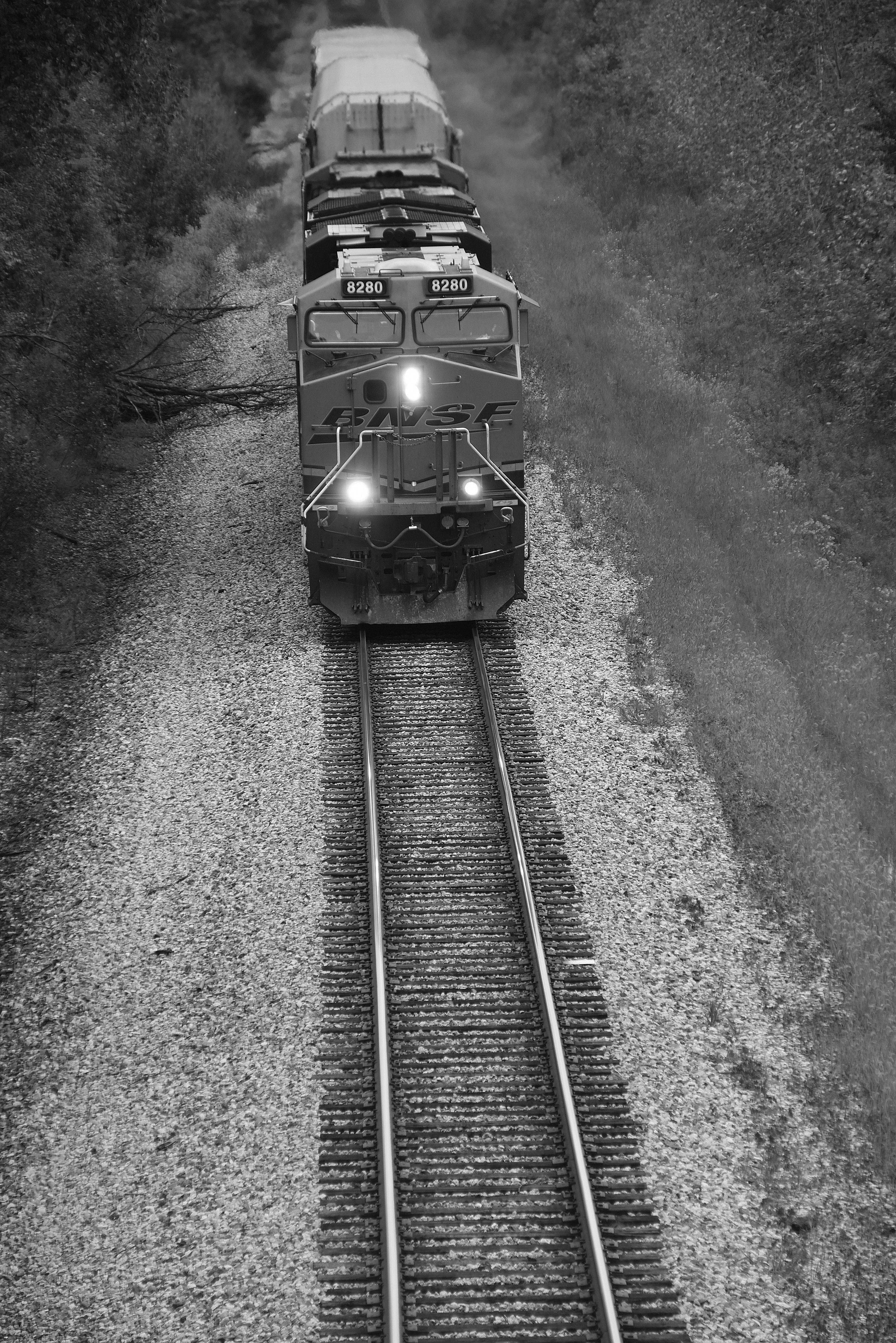 Monochrome Freight Train in Illinois Countryside · Free Stock Photo