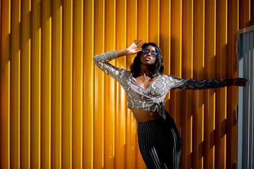 Gray and White Snakeskin Print V-neck Crop Top and Pinstriped Pants