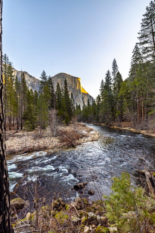 Free Stunning view of El Capitan in Yosemite National Park with a flowing river and forest Stock Photo