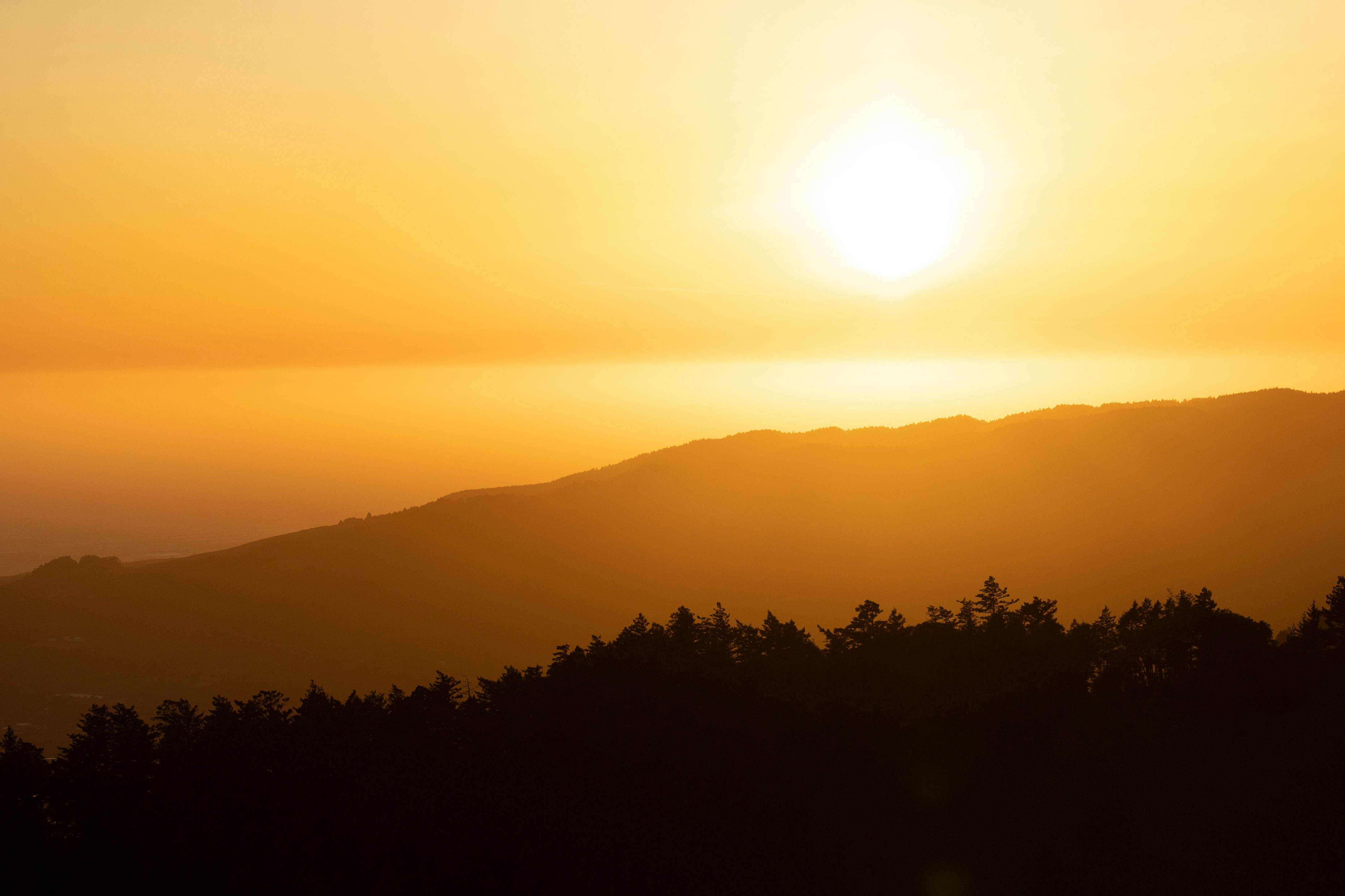 Announcing the Cloudflare Browser Developer Program — Photo by Stephen Leonardi on Pexels