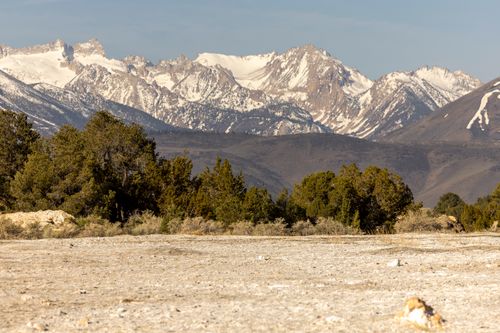 Free Scenic view of snow-capped mountains and forest under a clear blue sky. Stock Photo
