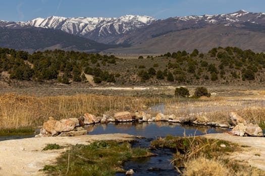 Reno, United States photo 10