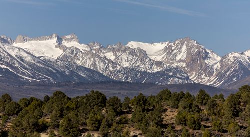 Free Majestic snow-covered mountain range with pine forest in clear daylight. Stock Photo
