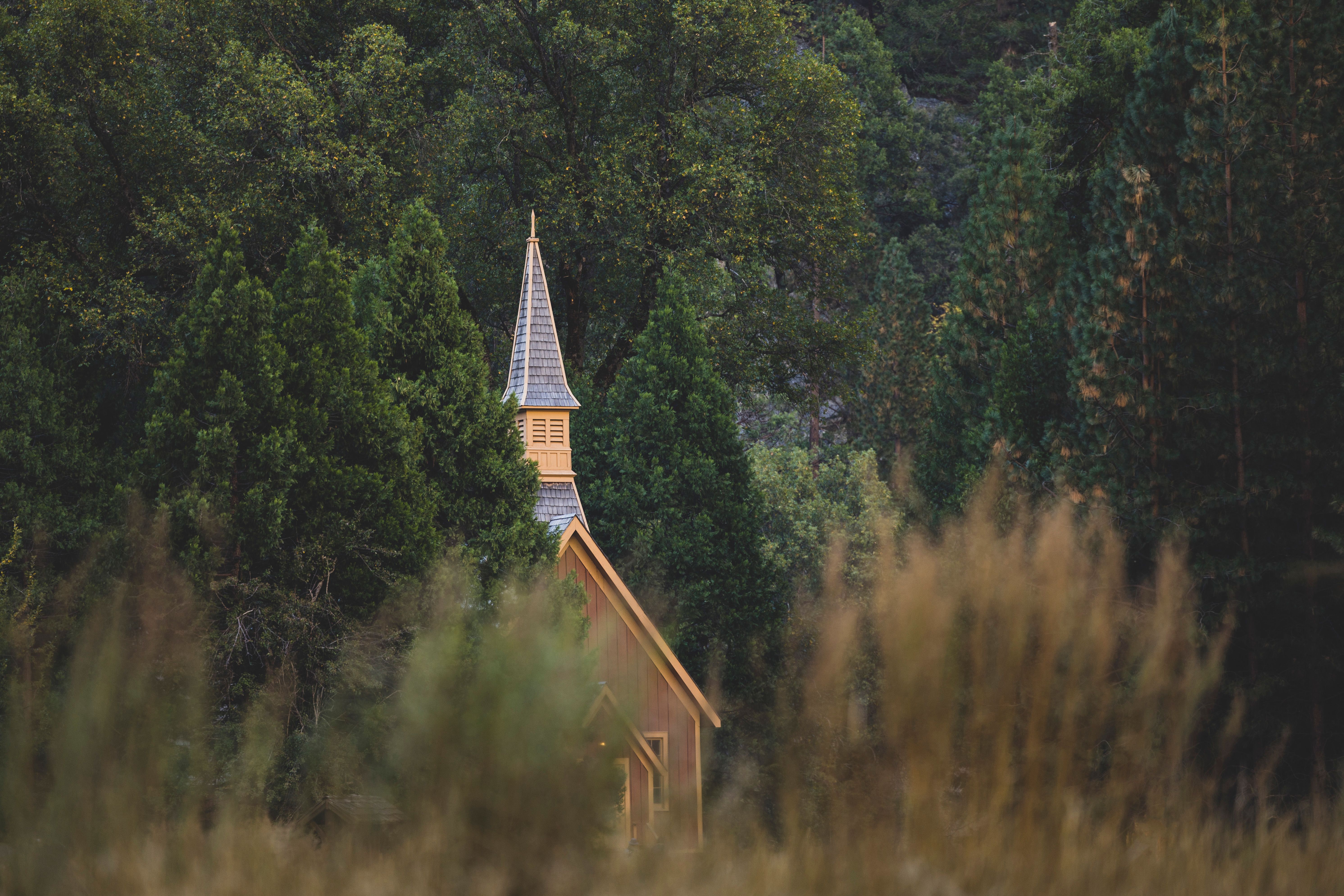 Church & Dwight’s Quiet E-Commerce Transformation Is Undervalued