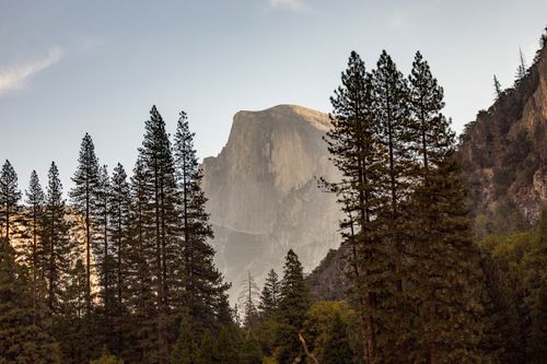 Free Scenic view of Half Dome with towering pines in Yosemite National Park. Stock Photo