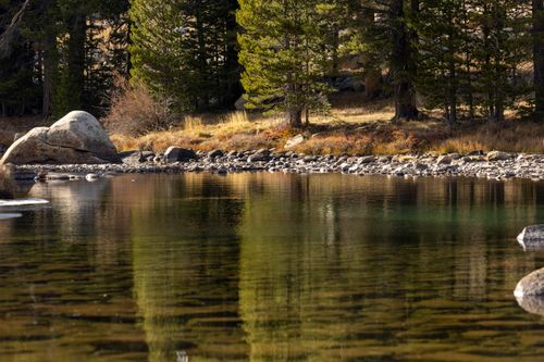 Free Serene forest lake with reflections of trees during autumn, capturing nature's tranquility. Stock Photo
