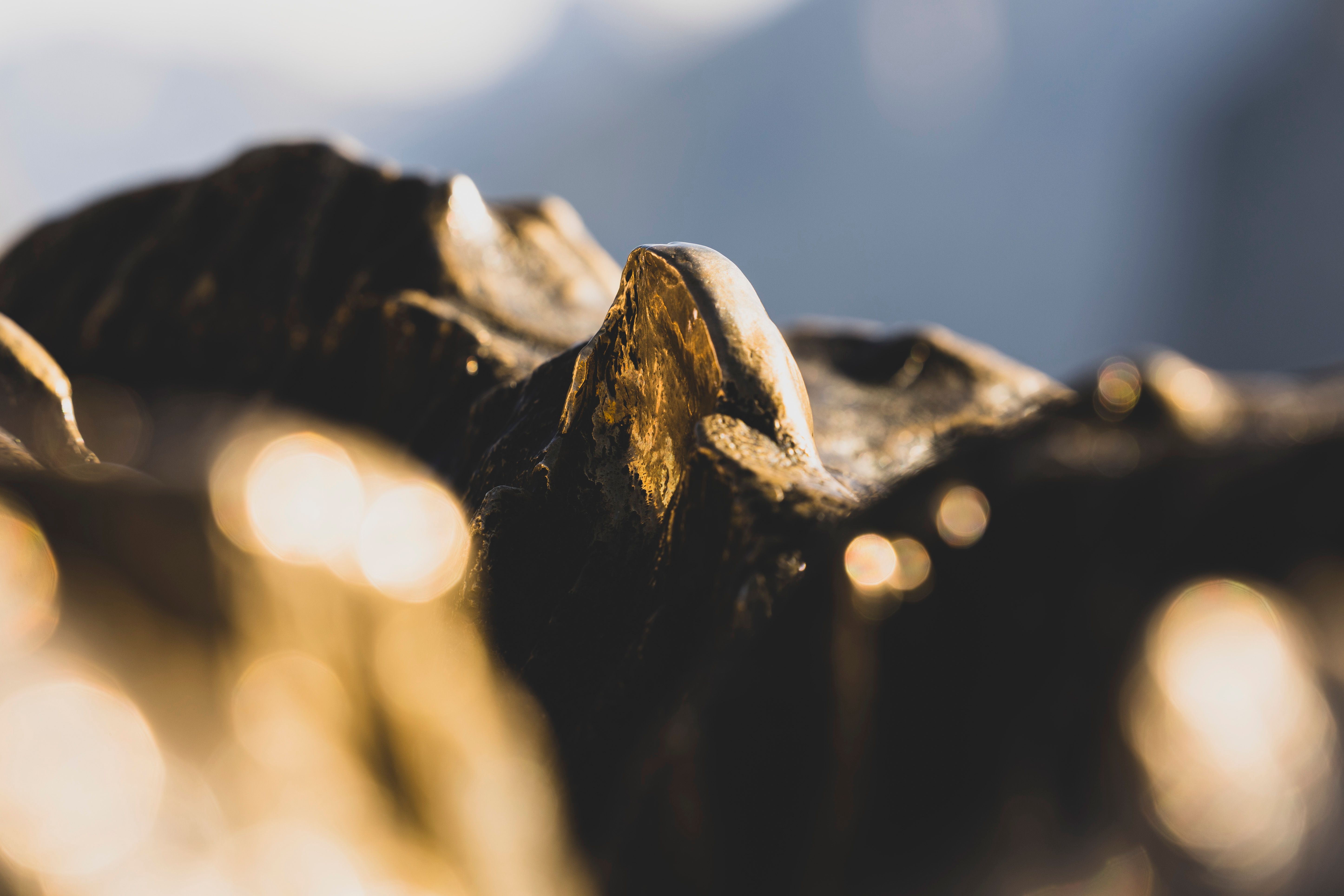 Artistic Close-Up of Abstract Golden Sculpture · Free Stock Photo