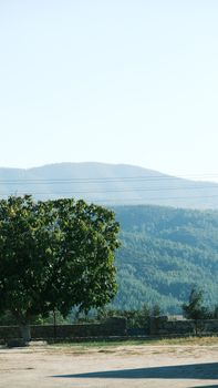 Image by Rahime Gül