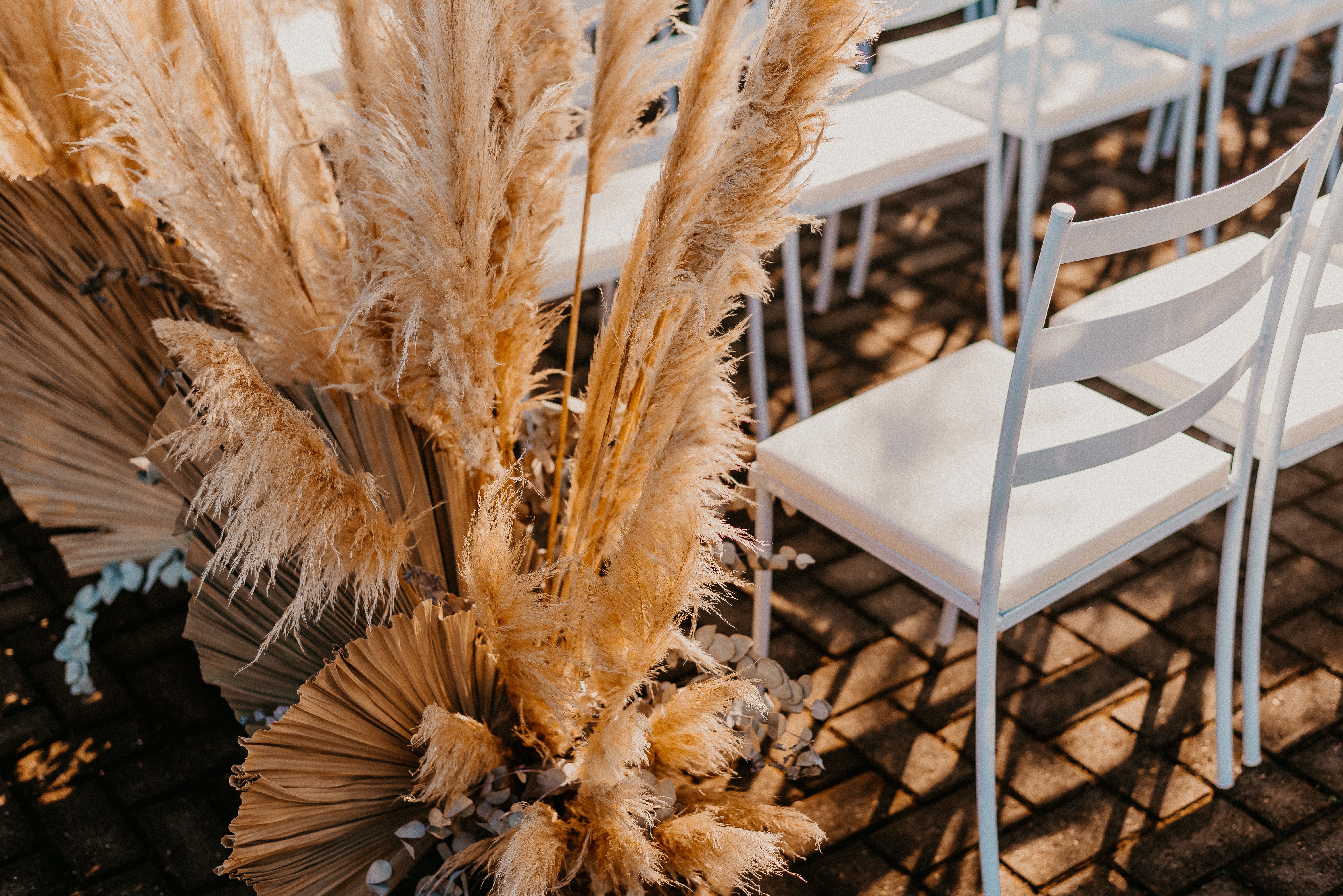 Décoration De Mariage élégante En Plein Air Avec De L'herbe De La Pampa ...
