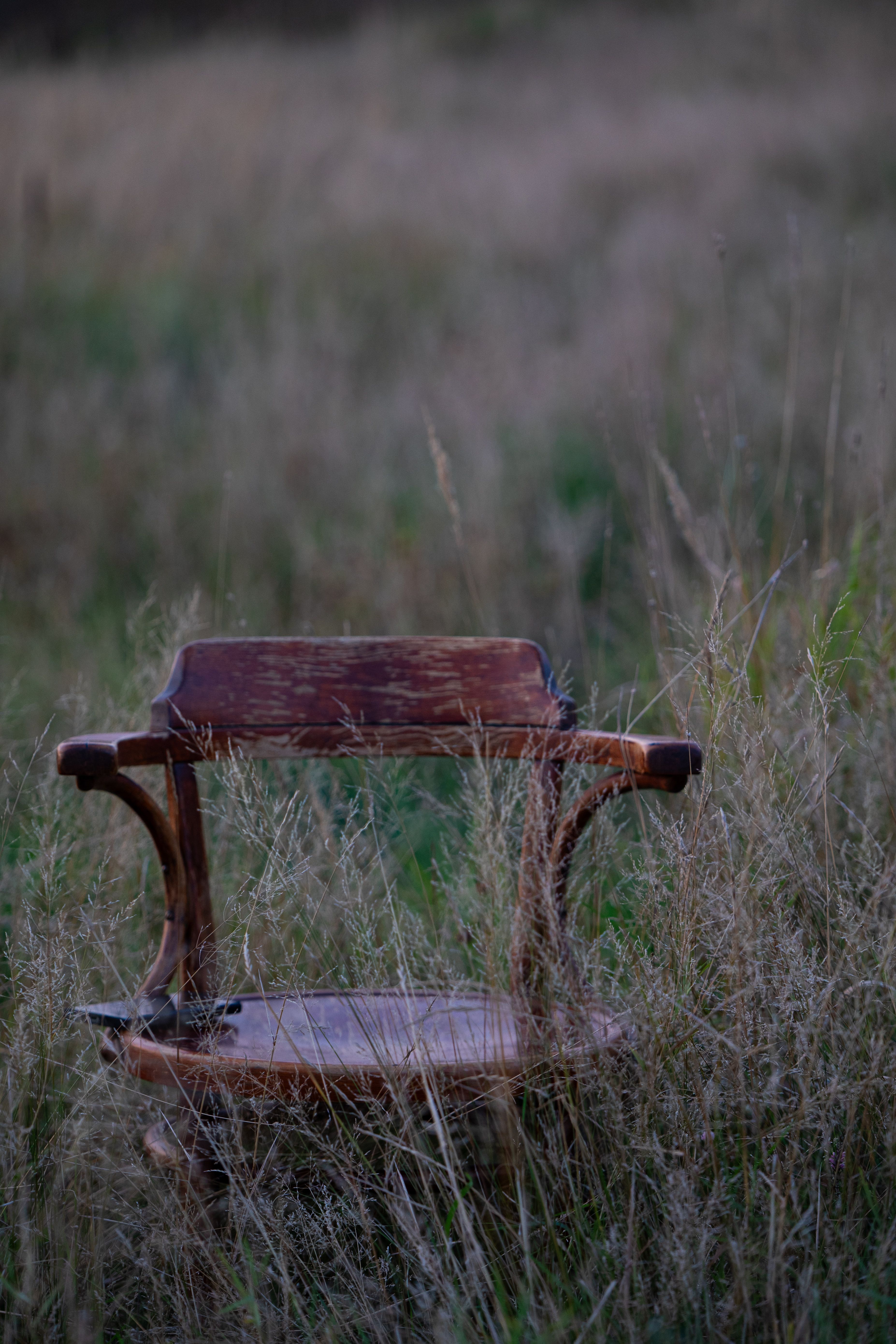 Rustic Wooden Chair in Overgrown Field · Free Stock Photo