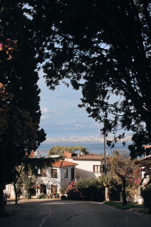 Free Charming view of Istanbul's skyline framed by trees from a quiet residential area. Stock Photo