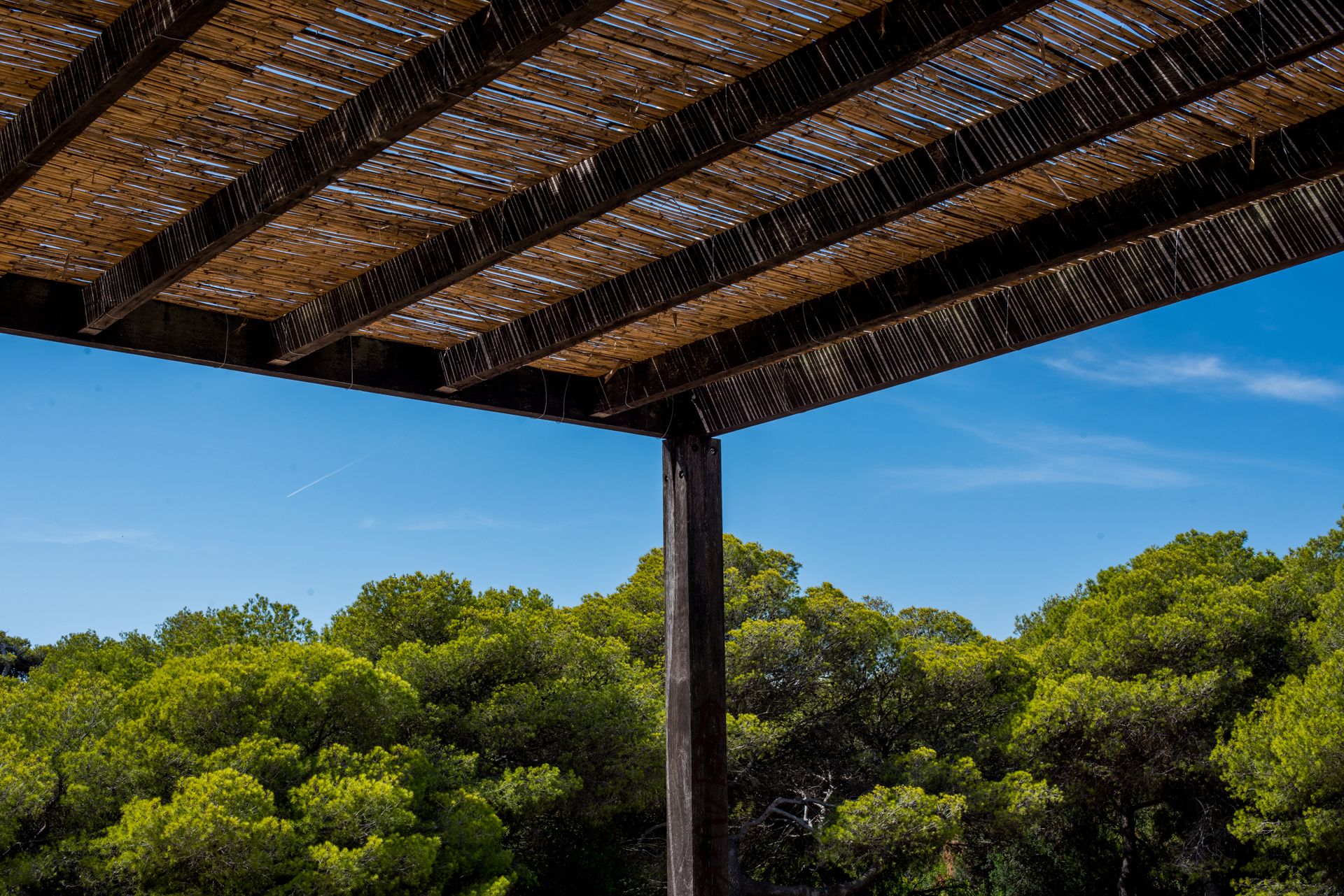 Rustic Pergola Overlooking Lush Green Forest