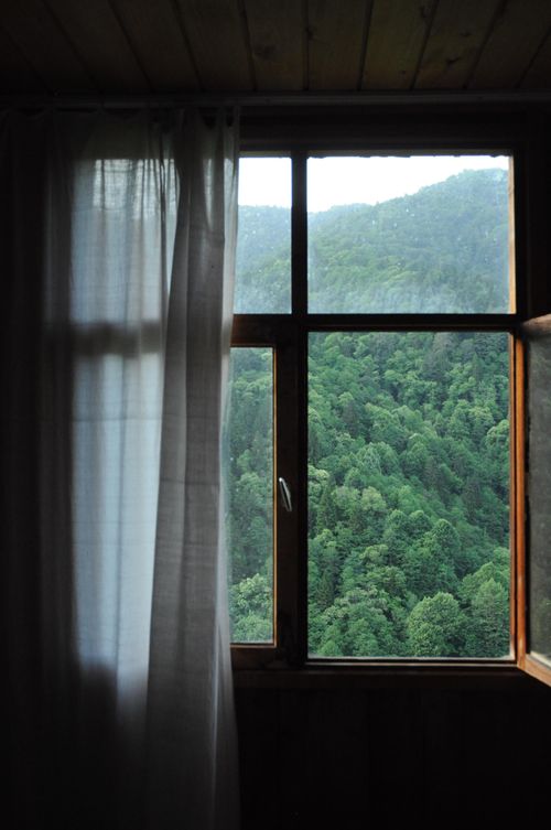 Free Peaceful green forest view through an open window with curtains. Stock Photo
