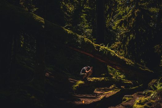 A person meditates alone in a serene, moss-covered forest with sunlight filtering through the trees.