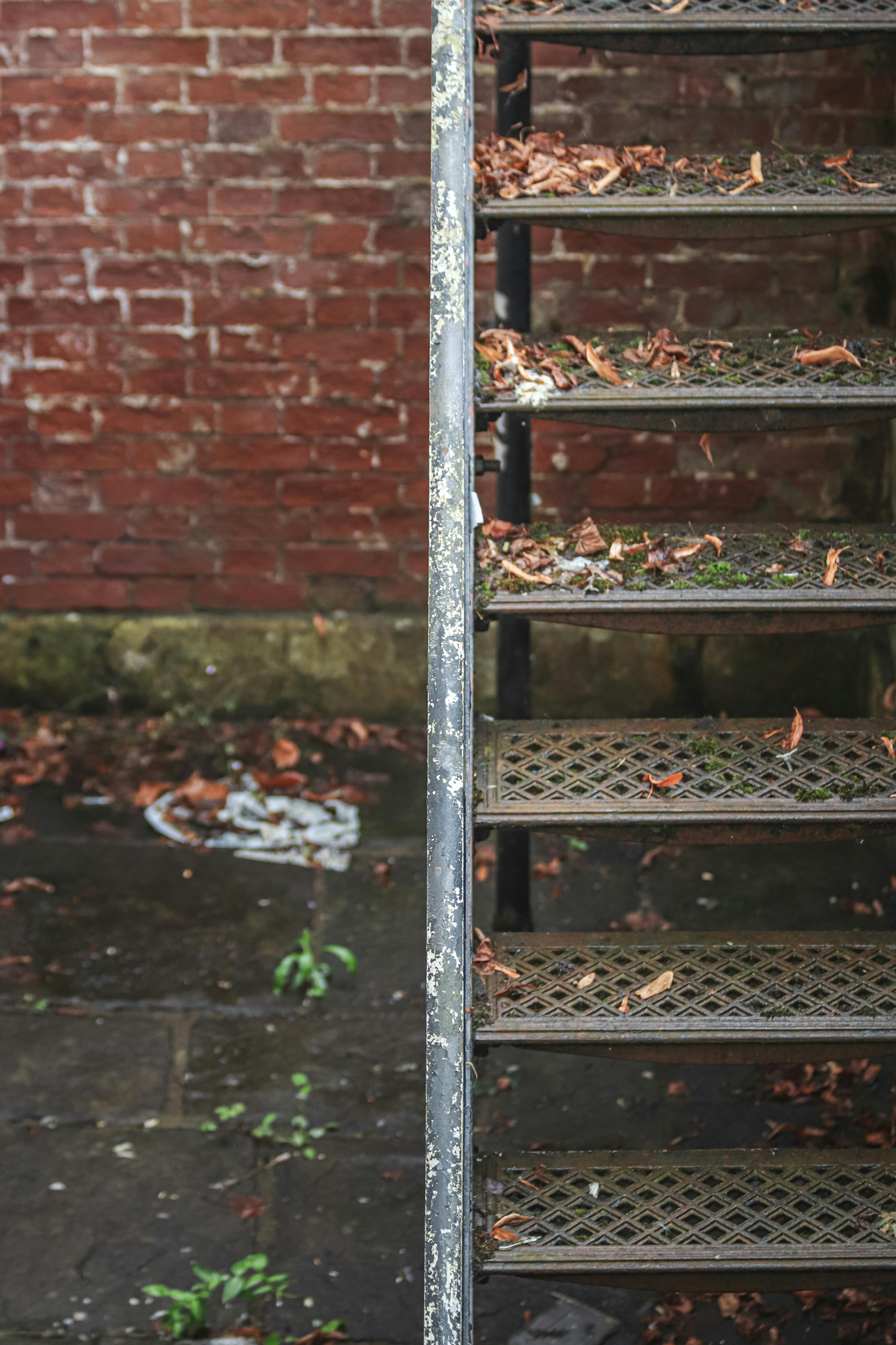 Gratis Tangga Logam Tua Dengan Dinding Bata Dan Daun Daun Yang Gugur Foto Stok