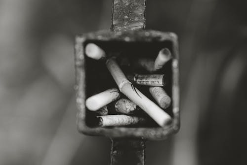 Grayscale Photography of Cigarette Butts in Ashtray