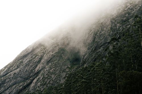 Free Foggy view of a rocky mountain with dense trees in Munnar, India. Stock Photo